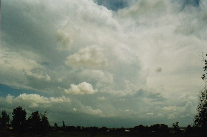 thunderstorm cumulonimbus_incus : Junction Hill, NSW   30 December 1998