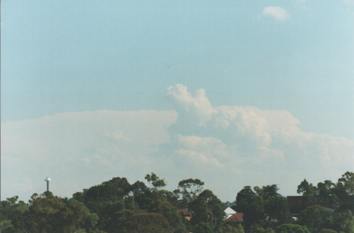 thunderstorm cumulonimbus_incus : Rooty Hill, NSW   29 January 1999