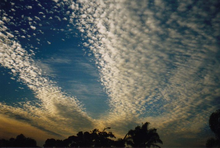 altocumulus mackerel_sky : Oakhurst, NSW   18 February 1999