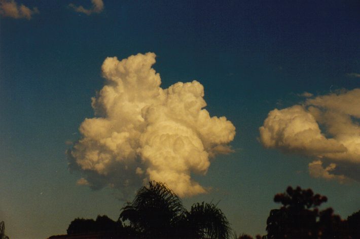 cumulus mediocris : Oakhurst, NSW   14 March 1999
