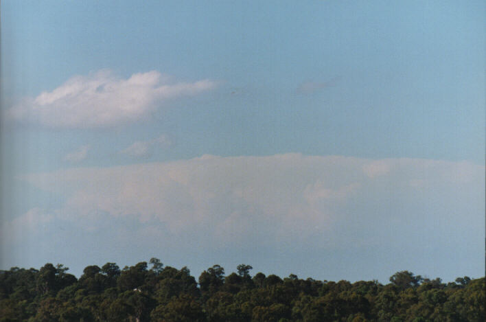 cumulus humilis : Schofields, NSW   15 March 1999
