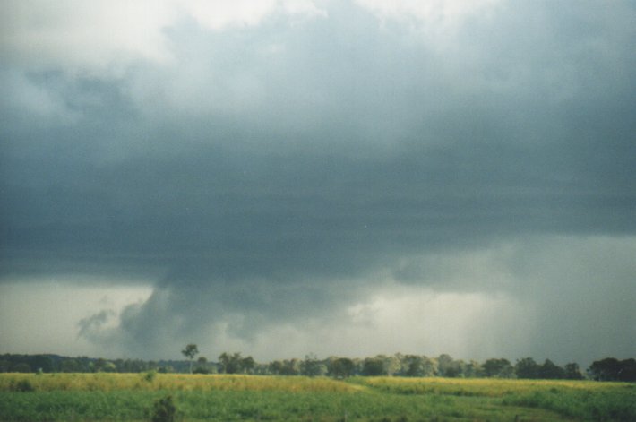 wallcloud thunderstorm_wall_cloud : Woodburn, NSW   31 December 1999