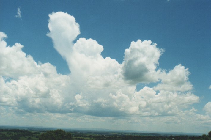 cumulus congestus : Rous, NSW   5 January 2000