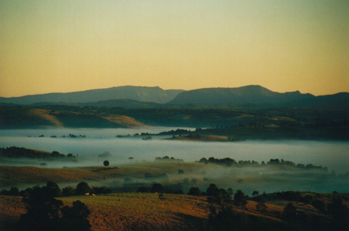 fogmist fog_mist_frost : McLeans Ridges, NSW   22 June 2000