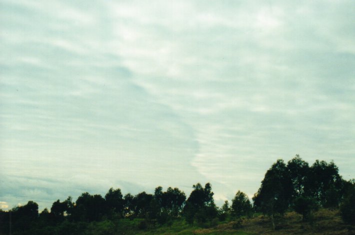 stratocumulus stratocumulus_cloud : McLeans Ridges, NSW   1 August 2000