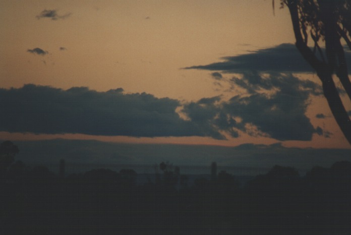cumulus mediocris : Schofields, NSW   22 August 2000