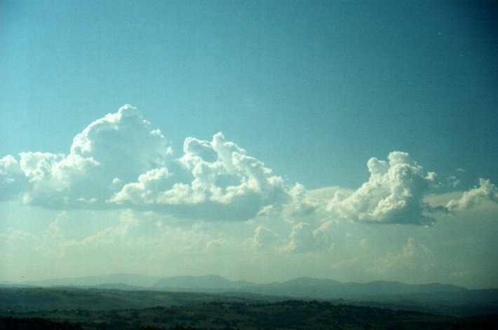 cumulus mediocris : McLeans Ridges, NSW   22 September 2000