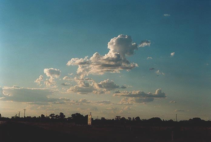 cumulus mediocris : Cunumulla, Qld   26 November 2000