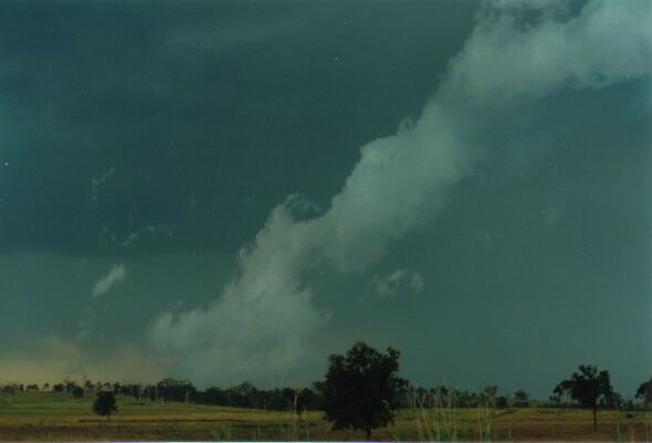 contributions received : Jerrys Plains, NSW<BR>Photo by Mario Orazem   6 December 2000
