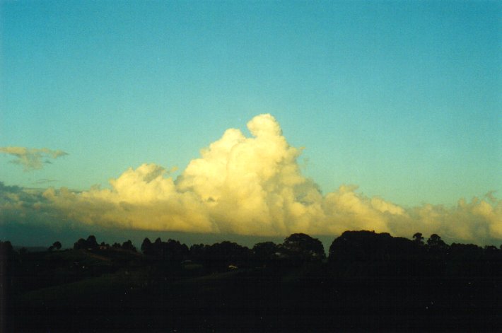 cumulus mediocris : McLeans Ridges, NSW   16 December 2000