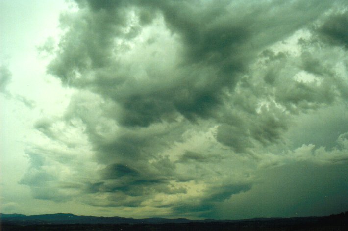 cumulus mediocris : McLeans Ridges, NSW   27 December 2000
