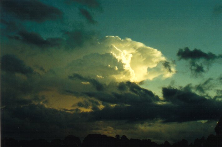 stratus stratus_cloud : McLeans Ridges, NSW   18 January 2001