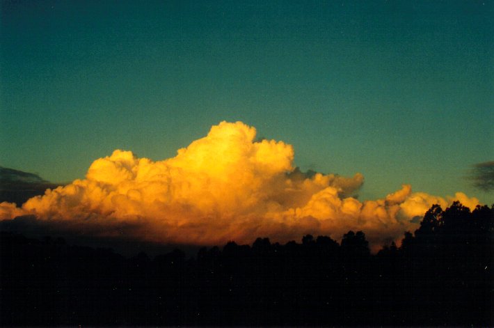 cumulus mediocris : McLeans Ridges, NSW   2 May 2001