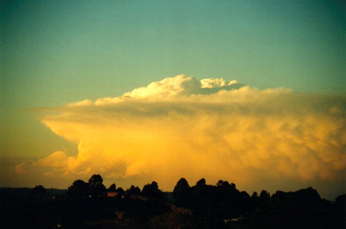 mammatus mammatus_cloud : McLeans Ridges, NSW   6 July 2001
