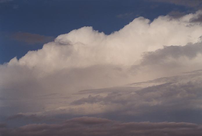 thunderstorm cumulonimbus_calvus : Booral, NSW   11 November 2001