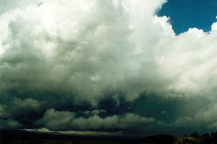 thunderstorm cumulonimbus_calvus : McLeans Ridges, NSW   19 November 2001