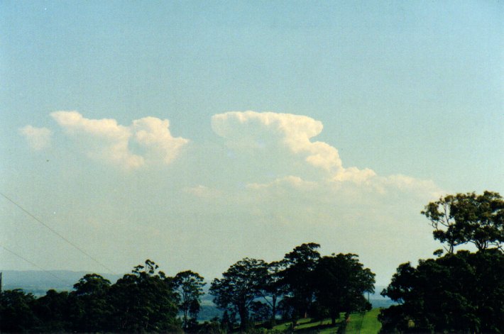 anvil thunderstorm_anvils : Tregeagle, NSW   1 December 2001