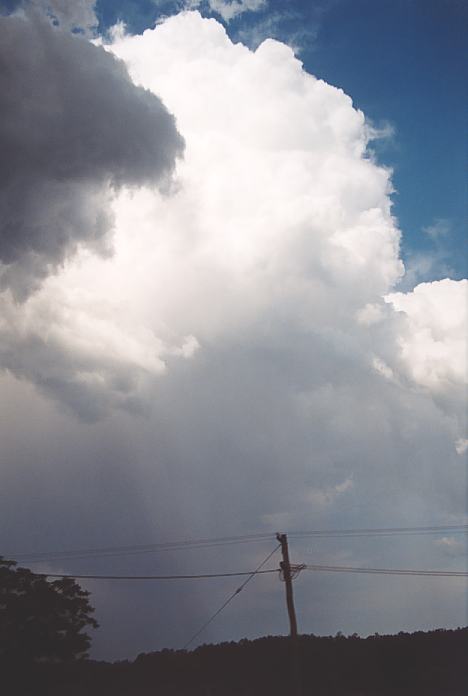 thunderstorm cumulonimbus_incus : Bellingen, NSW   3 December 2001