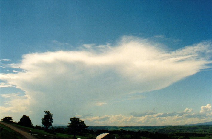 anvil thunderstorm_anvils : McLeans Ridges, NSW   19 December 2001