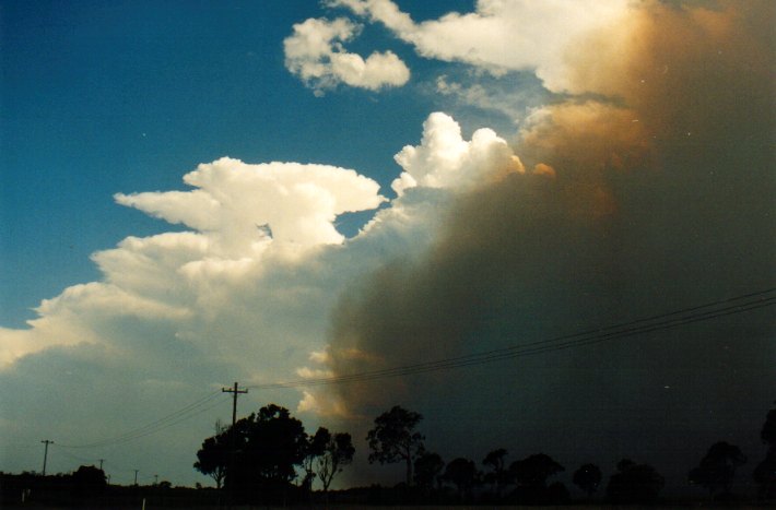 thunderstorm cumulonimbus_incus : Woodburn, NSW   22 December 2001