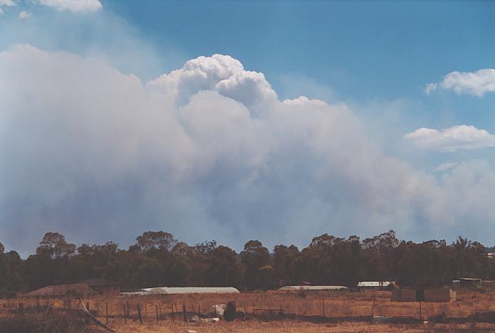 bushfire wild_fire : Schofields, NSW   25 December 2001