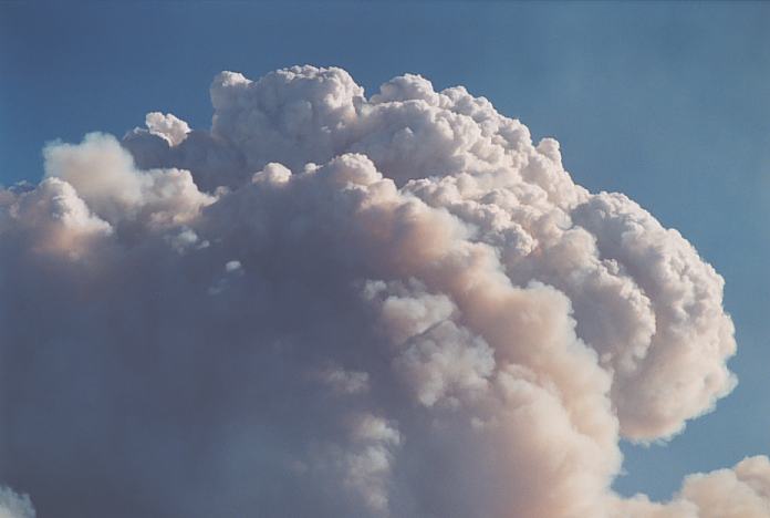 bushfire wild_fire : Castlereagh, NSW   25 December 2001