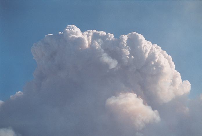cumulus pyrocumulus : Castlereagh, NSW   25 December 2001