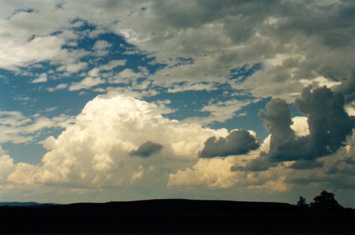 thunderstorm cumulonimbus_calvus : N of Casino, NSW   30 December 2001