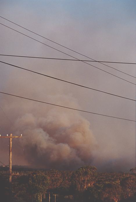 bushfire wild_fire : Pennant Hills, NSW   1 January 2002