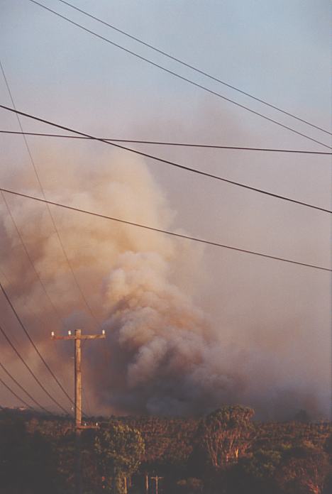 bushfire wild_fire : Pennant Hills, NSW   1 January 2002