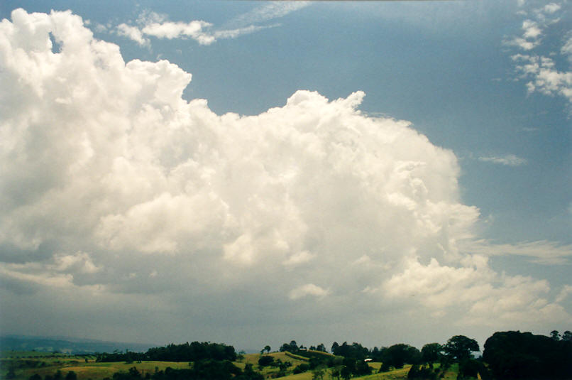 thunderstorm cumulonimbus_calvus : McLeans Ridges, NSW   6 January 2002