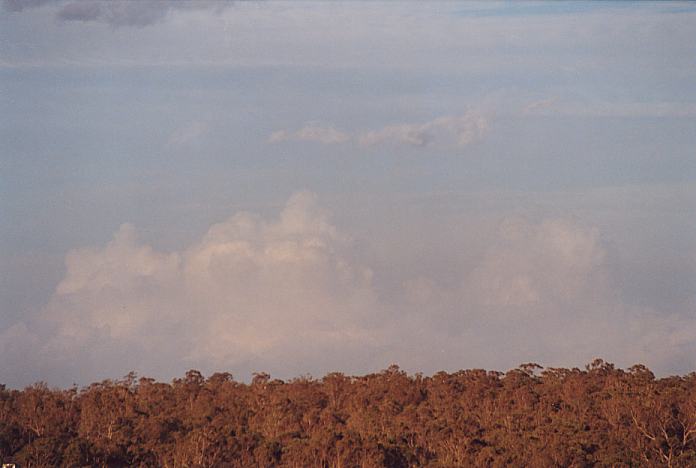 thunderstorm cumulonimbus_calvus : Schofields, NSW   7 January 2002