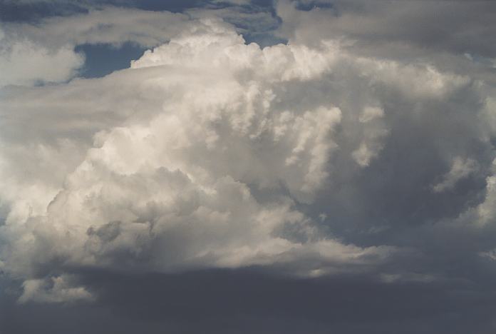 thunderstorm cumulonimbus_calvus : Port Stephens, NSW   8 February 2002