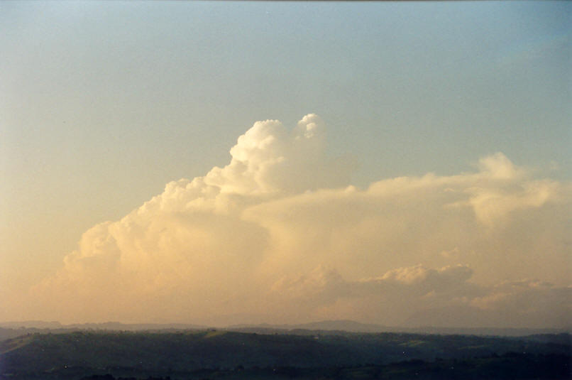 thunderstorm cumulonimbus_incus : McLeans Ridges, NSW   8 February 2002