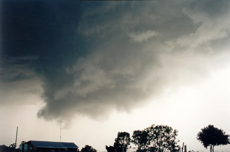 wallcloud thunderstorm_wall_cloud : Tregeagle, NSW   26 March 2002