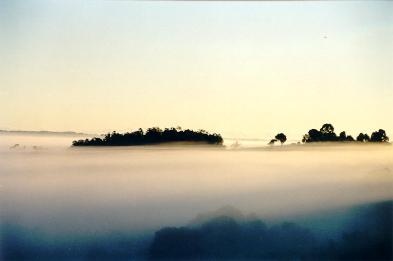fogmist fog_mist_frost : McLeans Ridges, NSW   26 April 2002