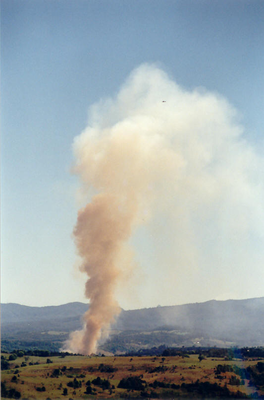 bushfire wild_fire : McLeans Ridges, NSW   8 September 2002