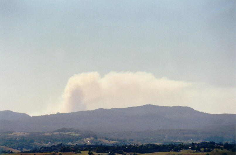 bushfire wild_fire : McLeans Ridges, NSW   8 September 2002