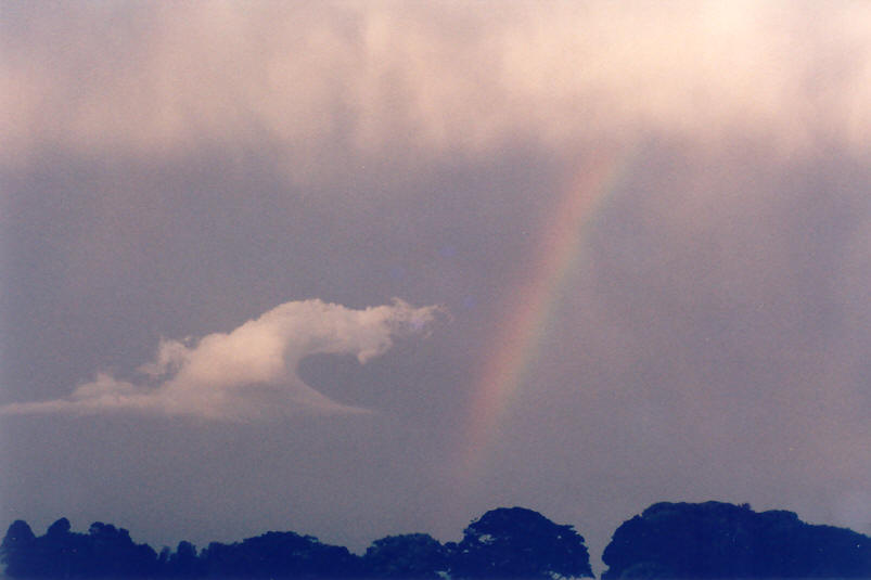 rainbow rainbow_pictures : McLeans Ridges, NSW   26 September 2002