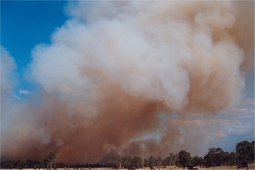 bushfire wild_fire : Rooty Hill, NSW   4 October 2002