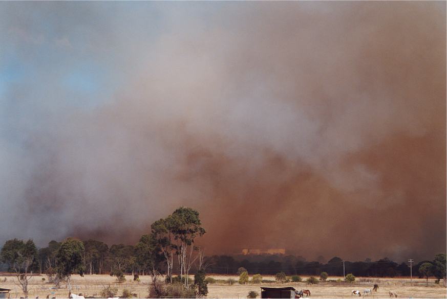 bushfire wild_fire : Rooty Hill, NSW   4 October 2002