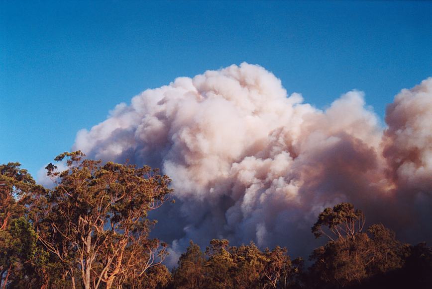 bushfire wild_fire : further N of Glenorie, NSW   4 December 2002