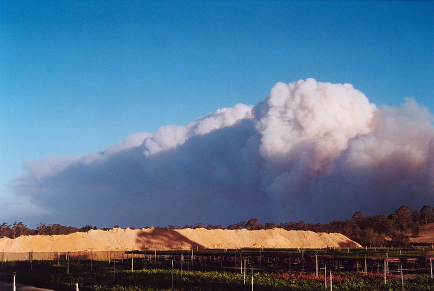 bushfire wild_fire : further N of Glenorie, NSW   4 December 2002