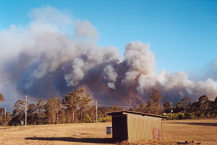 bushfire wild_fire : Cattai area, NSW   4 December 2002