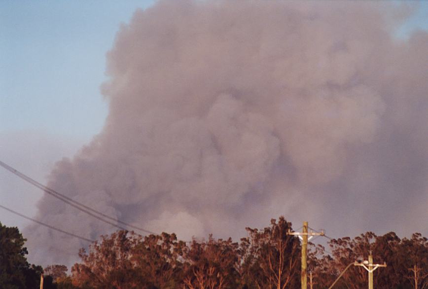 bushfire wild_fire : Pittown, NSW   4 December 2002