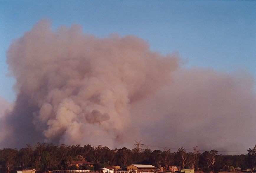 bushfire wild_fire : Pittown, NSW   4 December 2002