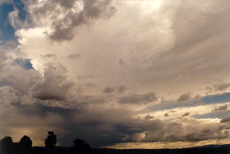 anvil thunderstorm_anvils : McLeans Ridges, NSW   3 April 2003