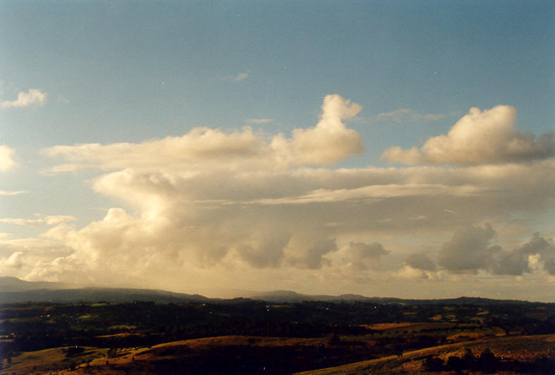 cumulus mediocris : McLeans Ridges, NSW   21 June 2003