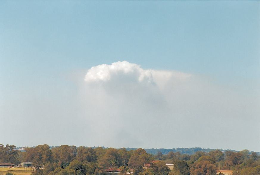 bushfire wild_fire : Schofields, NSW   20 September 2003
