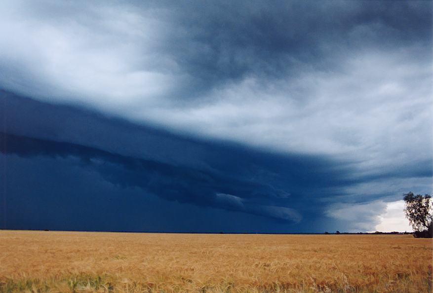 cumulonimbus thunderstorm_base : Moree, NSW   2 October 2003